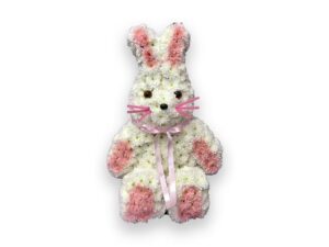 Bunny Rabbit B