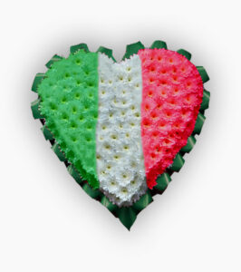 Italian Flag Heart