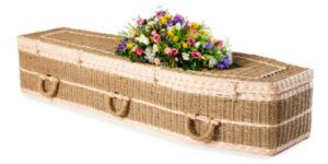 Pandanus Traditional