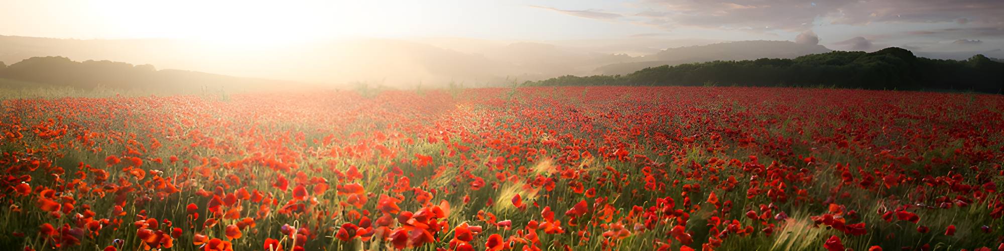 "Grief is the price we pay for love" - Queen Elizabeth II